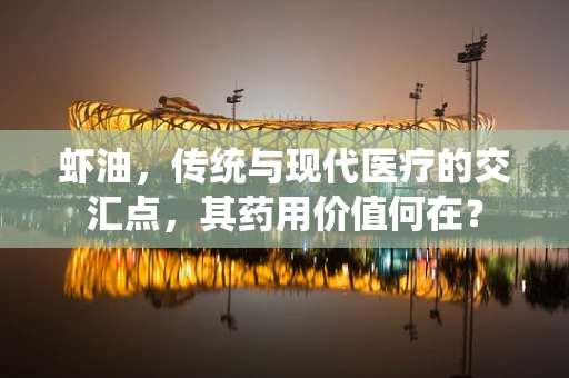 虾油，传统与现代医疗的交汇点，其药用价值何在？