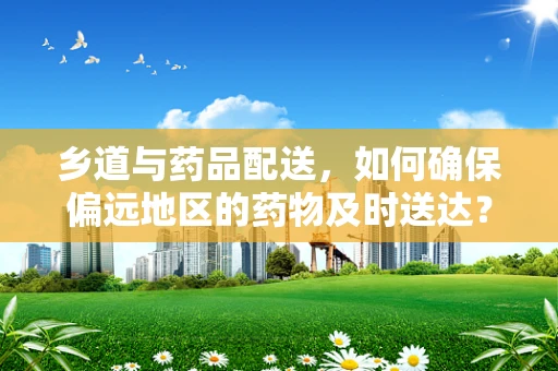 乡道与药品配送，如何确保偏远地区的药物及时送达？