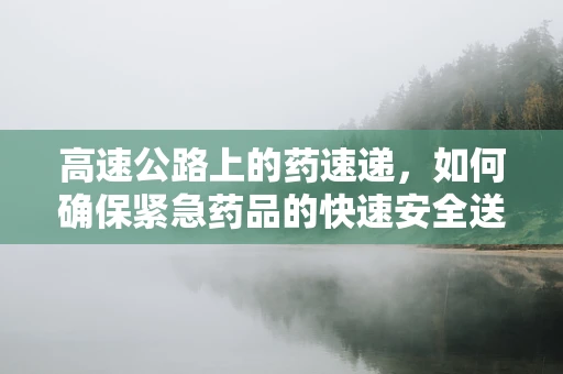 高速公路上的药速递，如何确保紧急药品的快速安全送达？