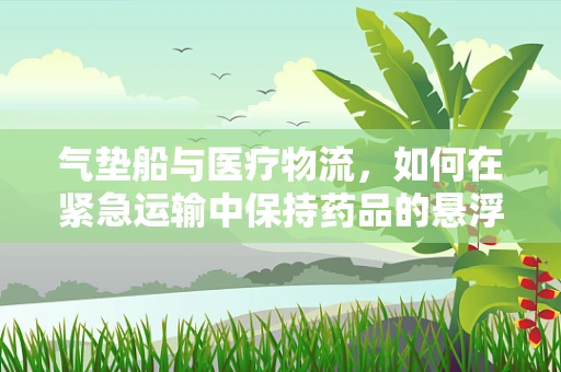 气垫船与医疗物流，如何在紧急运输中保持药品的悬浮稳定性？
