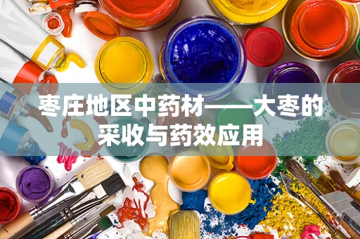 枣庄地区中药材——大枣的采收与药效应用