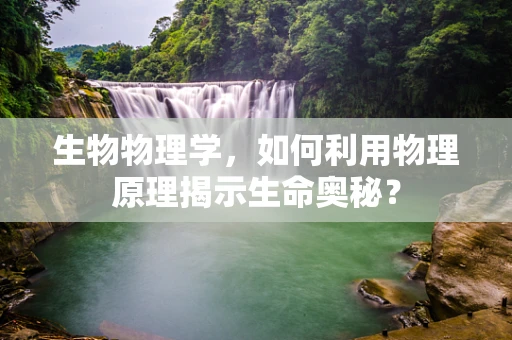 生物物理学，如何利用物理原理揭示生命奥秘？