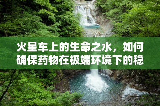 火星车上的生命之水，如何确保药物在极端环境下的稳定与安全？