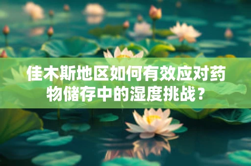 佳木斯地区如何有效应对药物储存中的湿度挑战？