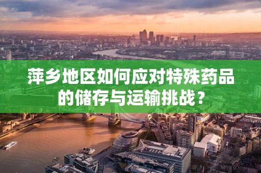 萍乡地区如何应对特殊药品的储存与运输挑战？