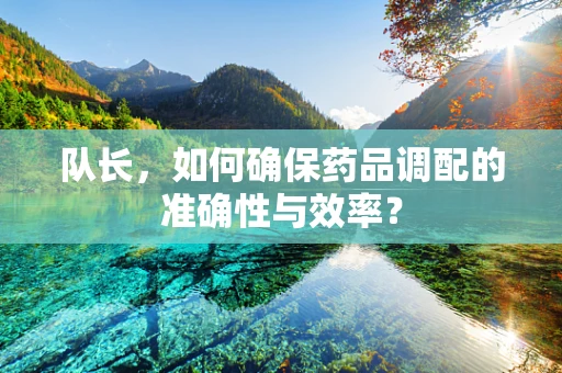 队长，如何确保药品调配的准确性与效率？