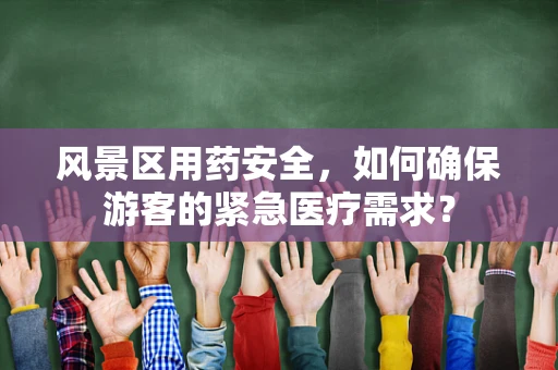 风景区用药安全，如何确保游客的紧急医疗需求？