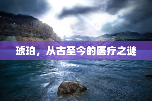琥珀，从古至今的医疗之谜