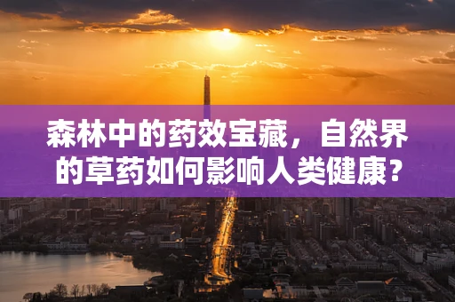 森林中的药效宝藏，自然界的草药如何影响人类健康？