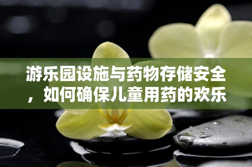 游乐园设施与药物存储安全，如何确保儿童用药的欢乐无虞？