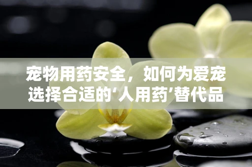 宠物用药安全，如何为爱宠选择合适的‘人用药’替代品？