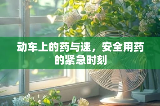 动车上的药与速，安全用药的紧急时刻
