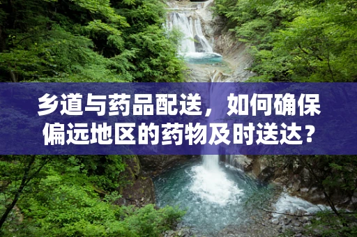 乡道与药品配送，如何确保偏远地区的药物及时送达？