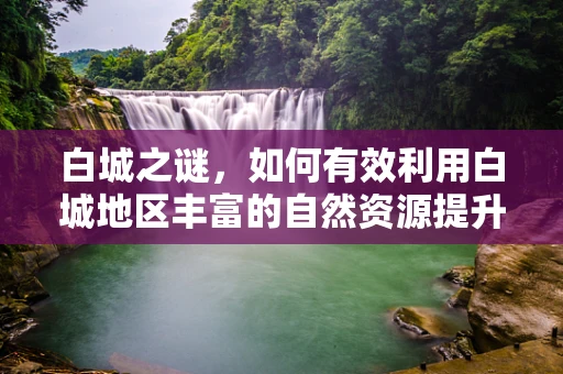 白城之谜，如何有效利用白城地区丰富的自然资源提升当地医疗健康水平？