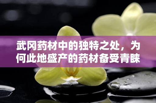 武冈药材中的独特之处，为何此地盛产的药材备受青睐？