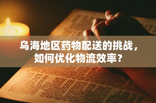 乌海地区药物配送的挑战，如何优化物流效率？