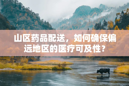 山区药品配送，如何确保偏远地区的医疗可及性？