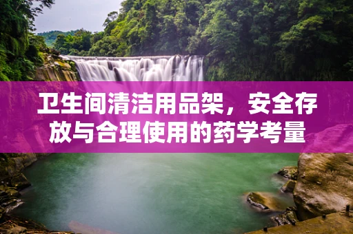 卫生间清洁用品架，安全存放与合理使用的药学考量