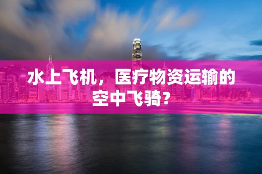 水上飞机，医疗物资运输的空中飞骑？