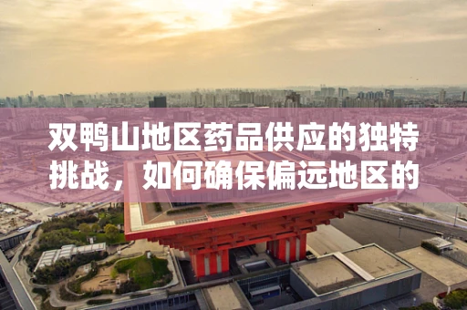 双鸭山地区药品供应的独特挑战，如何确保偏远地区的药物可及性？
