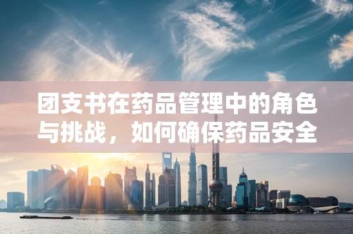 团支书在药品管理中的角色与挑战，如何确保药品安全与高效分发？