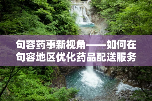 句容药事新视角——如何在句容地区优化药品配送服务？