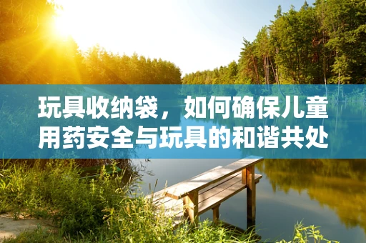 玩具收纳袋，如何确保儿童用药安全与玩具的和谐共处？