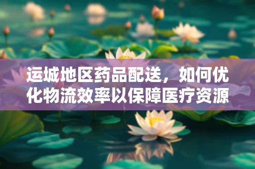 运城地区药品配送，如何优化物流效率以保障医疗资源均衡？