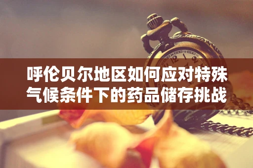 呼伦贝尔地区如何应对特殊气候条件下的药品储存挑战？
