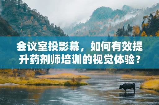 会议室投影幕，如何有效提升药剂师培训的视觉体验？
