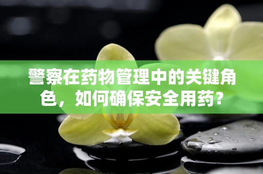 警察在药物管理中的关键角色，如何确保安全用药？