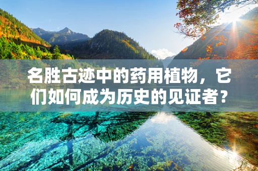 名胜古迹中的药用植物，它们如何成为历史的见证者？