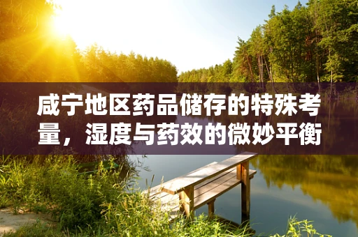 咸宁地区药品储存的特殊考量，湿度与药效的微妙平衡