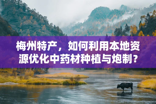梅州特产，如何利用本地资源优化中药材种植与炮制？