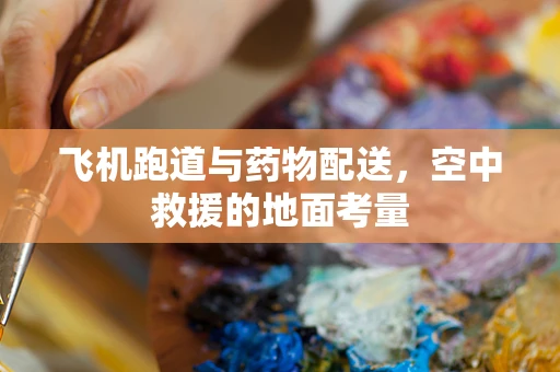 飞机跑道与药物配送，空中救援的地面考量