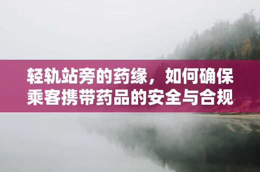 轻轨站旁的药缘，如何确保乘客携带药品的安全与合规？