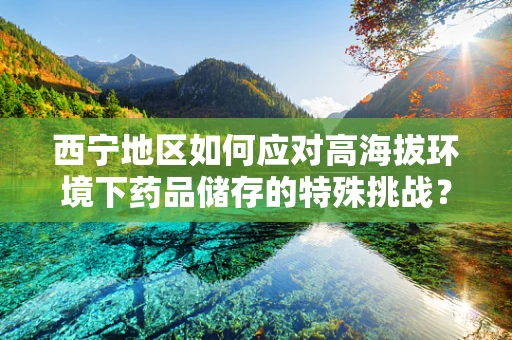 西宁地区如何应对高海拔环境下药品储存的特殊挑战？