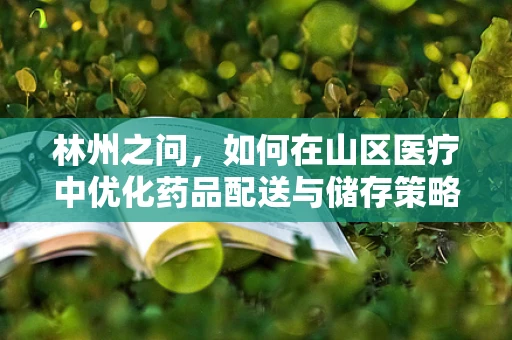 林州之问，如何在山区医疗中优化药品配送与储存策略？