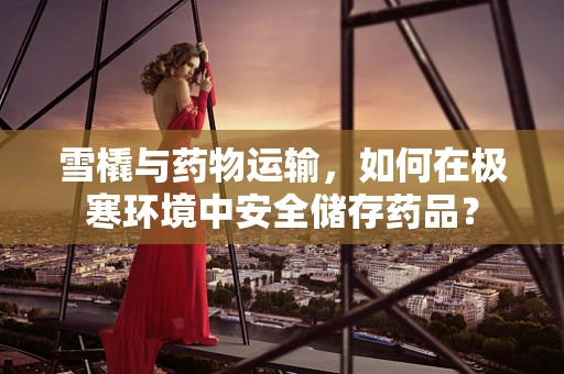 雪橇与药物运输，如何在极寒环境中安全储存药品？