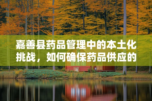 嘉善县药品管理中的本土化挑战，如何确保药品供应的精准与安全？
