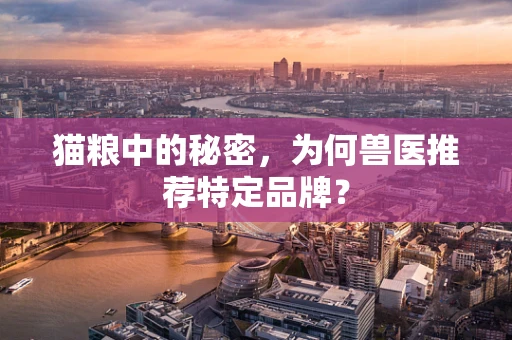 猫粮中的秘密，为何兽医推荐特定品牌？