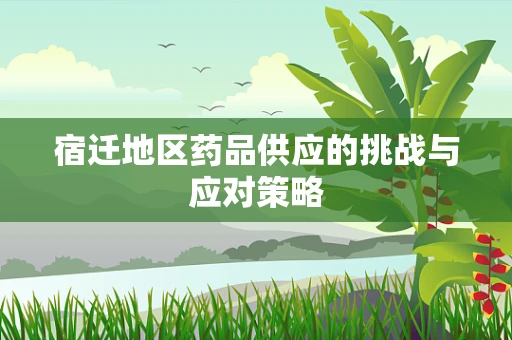 宿迁地区药品供应的挑战与应对策略