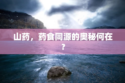 山药，药食同源的奥秘何在？
