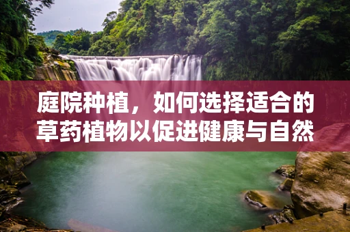 庭院种植，如何选择适合的草药植物以促进健康与自然疗法？