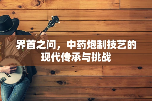 界首之问，中药炮制技艺的现代传承与挑战