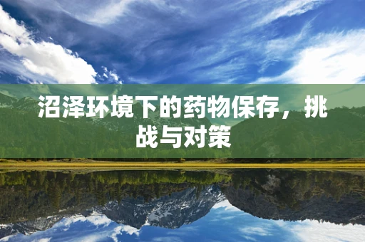 沼泽环境下的药物保存，挑战与对策