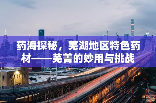 药海探秘，芜湖地区特色药材——芜菁的妙用与挑战