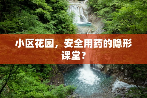 小区花园，安全用药的隐形课堂？