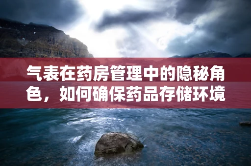 气表在药房管理中的隐秘角色，如何确保药品存储环境的准确监测？