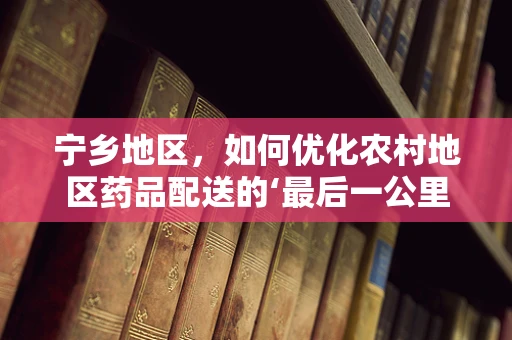 宁乡地区，如何优化农村地区药品配送的‘最后一公里’？